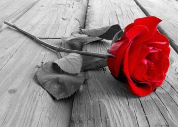 Αλήθεια…πως πενθείς παιδί;