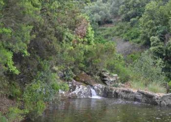 Ικαρία: το νησί της μακροζωίας