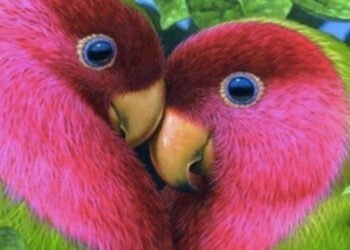 LOVEBIRDS: ΤΑ ΠΟΥΛΙΑ ΤΗΣ ΑΙΩΝΙΑΣ ΑΓΑΠΗΣ