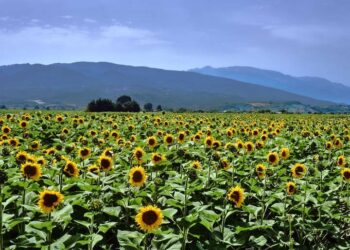 Πάμε διακοπές… πάμε Θεσσαλία!