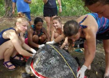 «Voluntourism»: Συνδυάστε τον εθελοντισμό με τις διακοπές