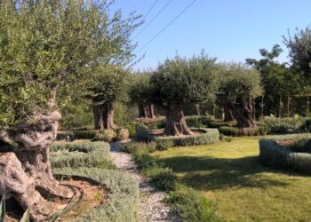 Ο «ΕΛΛΗΝΙΚΟΣ ΚΗΠΟΣ» (HELLENIC GARDEN)